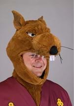 Plus Size TMNT Master Splinter Costume Alt 6