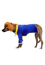 Disney Beauty and the Beast Dog Costume Alt 2