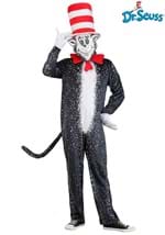 Adult Dr Seuss If I Ran Your School Cat in the Hat Costume