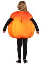 Child Fall Pumpkin Costume Alt 1