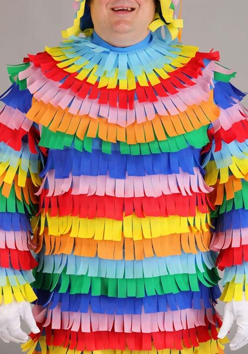 Plus Size Piñata Adult Costume Funny Costumes