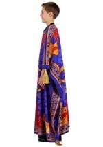 Kid's Disney Aladdin Magic Carpet Costume Alt 1