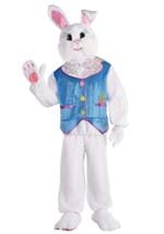 Adult Seasonal Easter Bunny Costume