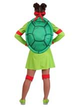 Adult TMNT Raphael Costume Dress Alt 1
