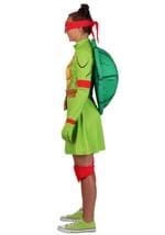 Adult TMNT Raphael Costume Dress Alt 2