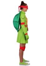 Adult TMNT Raphael Costume Dress Alt 3