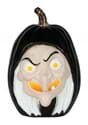 10 Inch Snow White Evil Witch Light Up Pumpkin Decoration