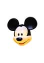 14 Inch Mickey Porch Light Cover
