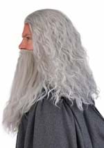Mens Lord of the Rings Gandalf Costume Wig Beard Alt 2