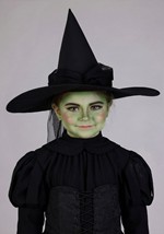 Kids Premium Wizard of Oz Wicked Witch Costume Alt 4