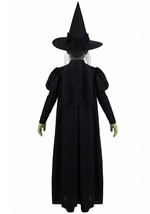 Kids Premium Wizard of Oz Wicked Witch Costume Alt 1