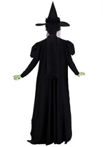Adult Premium Wizard of Oz Wicked Witch Costume Alt 1