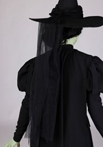 Plus Size Premium Wizard of Oz Wicked Witch Costume Alt 8