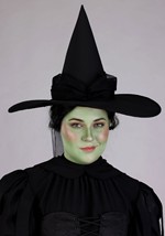 Plus Size Premium Wizard of Oz Wicked Witch Costume Alt 4
