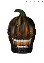 Black Light Up Pumpkin Alien Halloween Decoration Alt 1