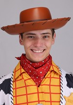 Adult Premium Disney Pixar Toy Story Woody Costume Alt 8