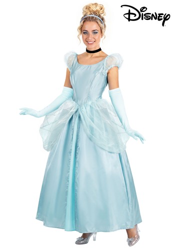 Adult Deluxe Disney Cinderella Costume