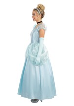 Adult Deluxe Disney Cinderella Costume Alt 2