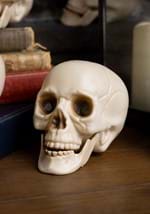 Bag of Skulls with Moving Jaws Alt 1