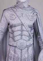 Boys Turned to Stone Warrior Costume Alt 2