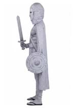 Boys Turned to Stone Warrior Costume Alt 8