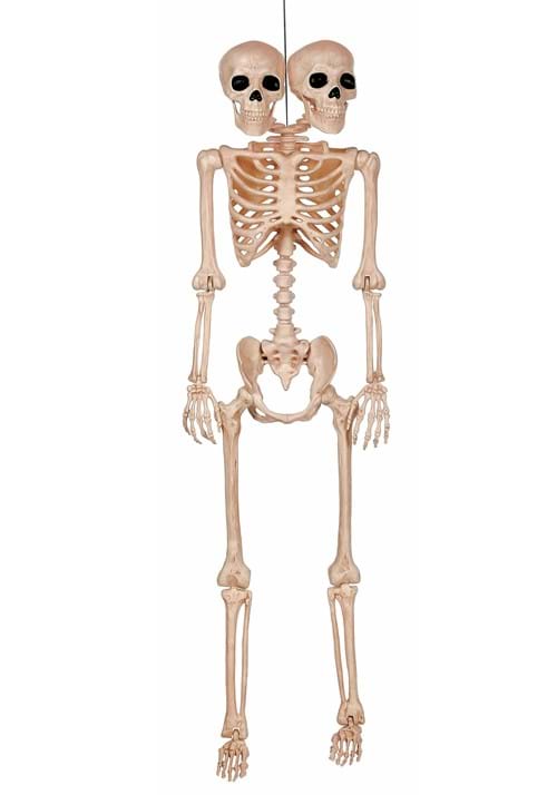 5FT Double Head Pose-N-Stay Skeleton