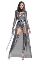 Womens Round Table Knight Costume