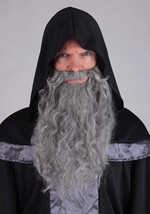 Men's Regal Court Wizard Costume Robe Alt 1