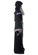 Men's Regal Court Wizard Costume Robe Alt 6