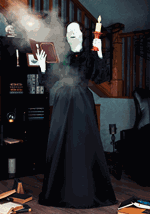Lorelai the Ghostly Librarian Animatronic Decoration UPD