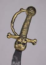 2 Piece Faux Pirate Sword Costume Set Alt 2