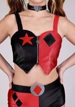 Adult Deluxe Harley Quinn Costume Outfit Alt 8