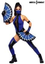 Adult Kitana Mortal Kombat Costume