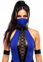 Adult Kitana Mortal Kombat Costume Alt 5