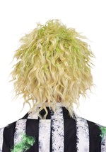 Mens Beetlejuice Costume Wig Cap Alt 1