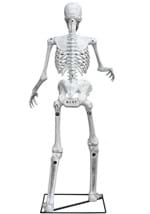 5FT ANIMATED SKELETON Alt 1