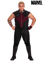 Plus Marvel Avengers Deluxe Hawkeye Costume Main 1