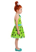 Kid's The Flintstones Pebbles Flintstone Costume D Alt 1