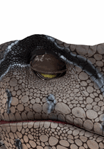 Adult Life-Sized Realistic Raptor Costume Alt 13