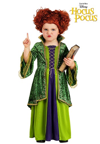 Toddler Disney Winifred Sanderson Deluxe Costume Main 1