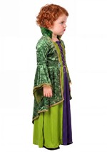 Toddler Deluxe Disney Winifred Sanderson Costume Alt 6