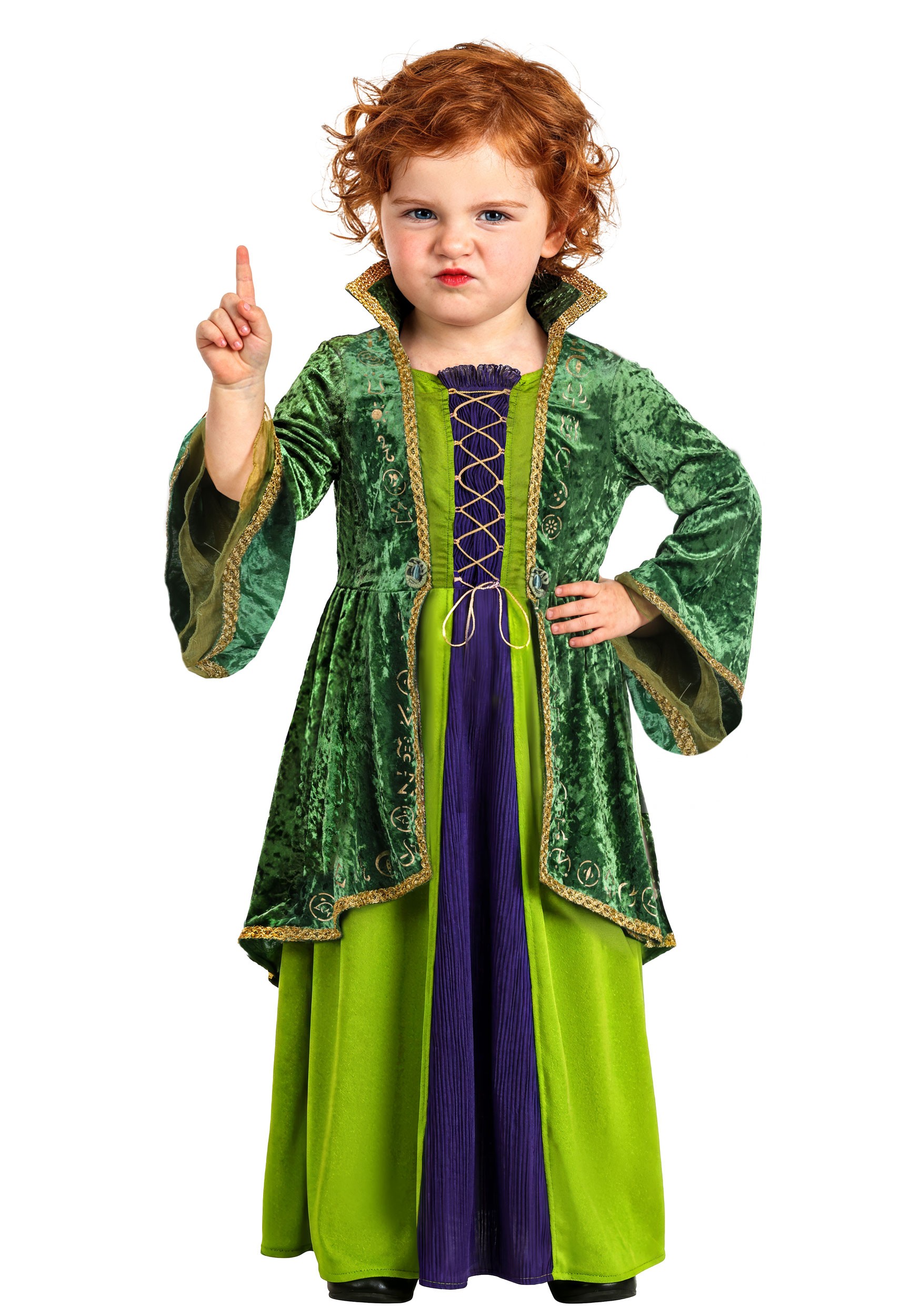 Girl's Toddler Disney Winifred Sanderson Deluxe Costume | Disney Costumes