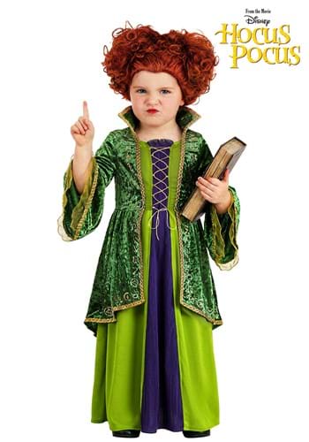 Toddler Deluxe Disney Winifred Sanderson Costume