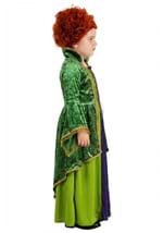 Toddler Deluxe Disney Winifred Sanderson Costume Alt 3