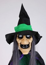 Hovering Hortense Animatronic Witch Decoration Alt 4