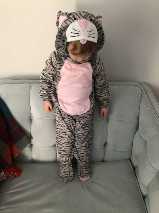 CK1108 Grey Striped Kitten Kitty Cat Animal Child Toddler Jumpsuit Kids Costume